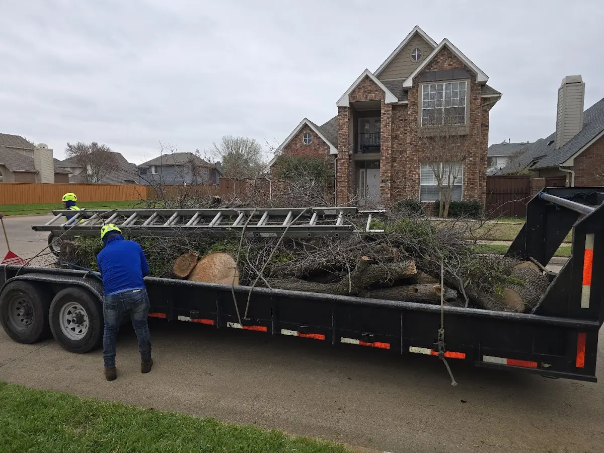 Expert Tree Fertilization with proper safety equipment in Bridgewater